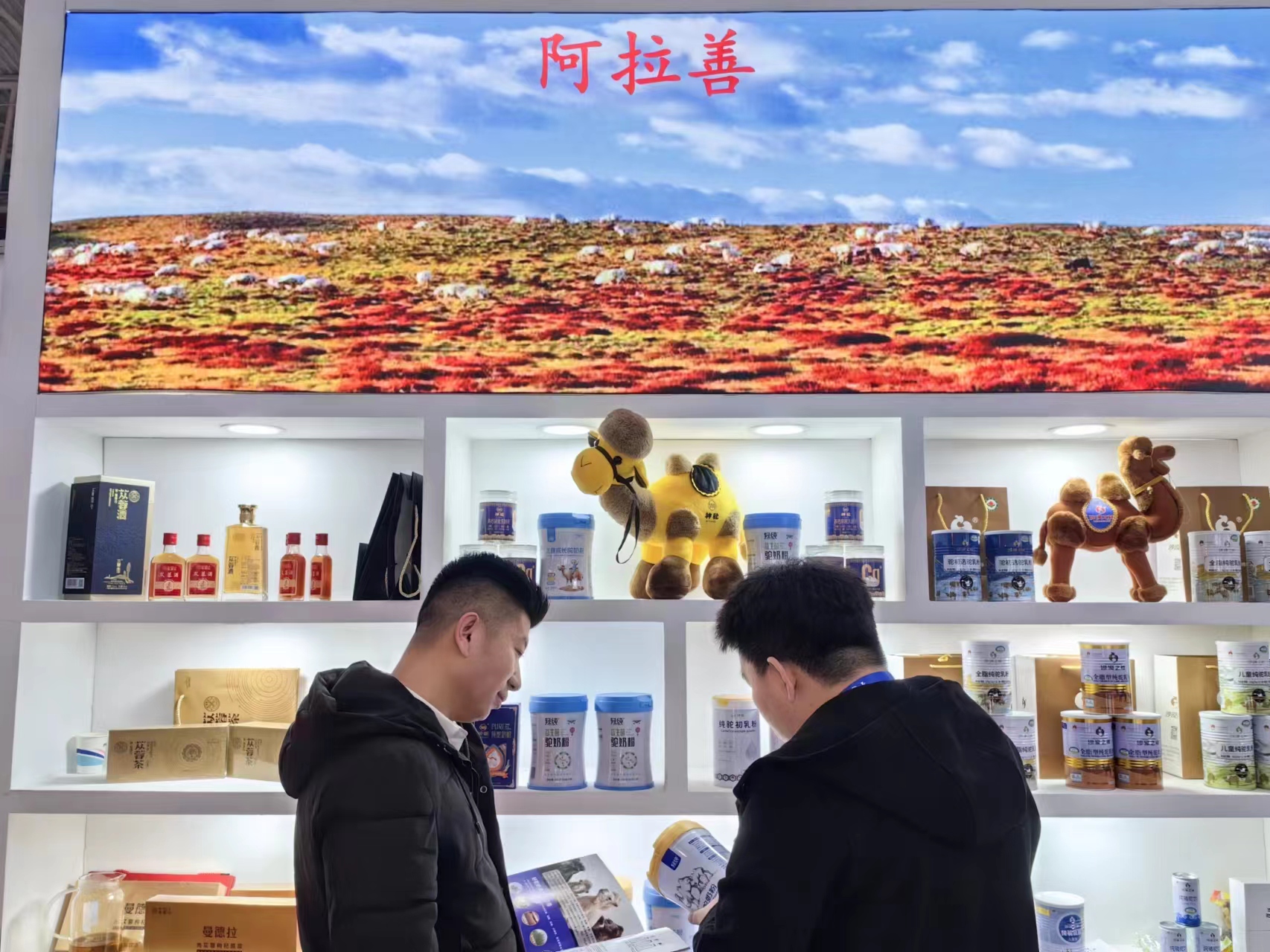 微信圖片_20231208171904.jpg