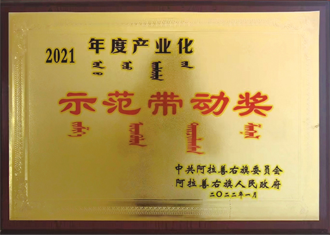 2021年度產(chǎn)業(yè)化示范帶動(dòng)獎(jiǎng)