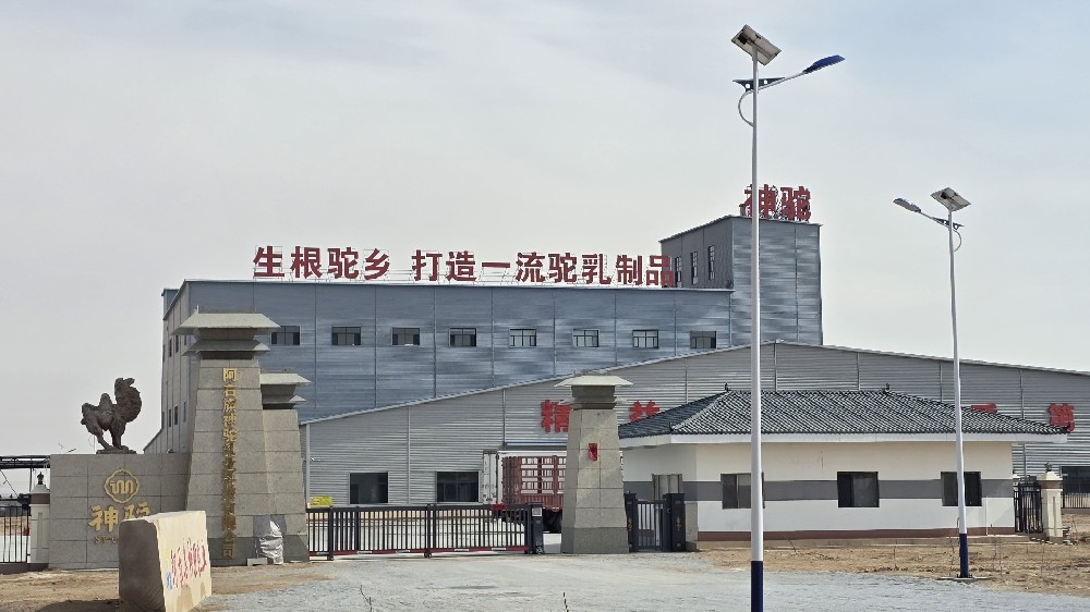 基地展示圖